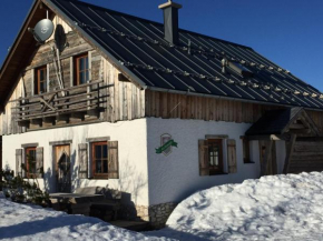 Отель Almchalet Feuerkogel, Эбензее